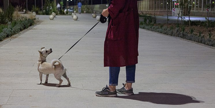 سگ‌گردانی در بوستان ها مطابق مقررات جاری کشور ممنوع است
